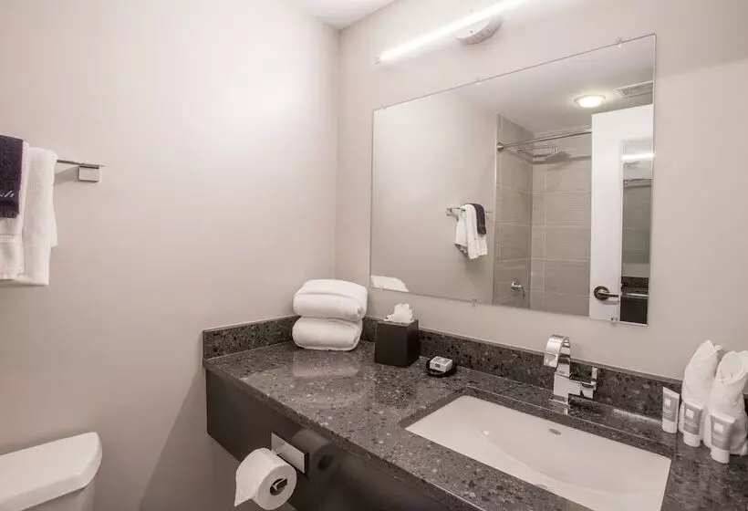 اتاق پرمیوم, Magnolia Hotel Omaha