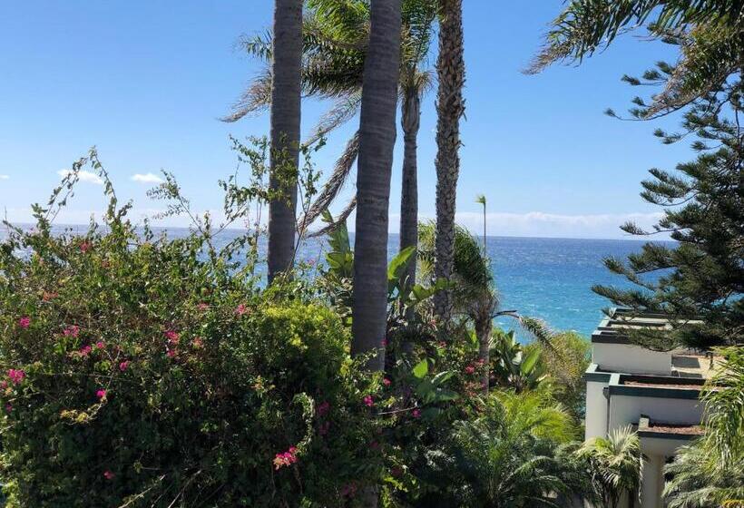 Люкс Классика, Laguna Cove