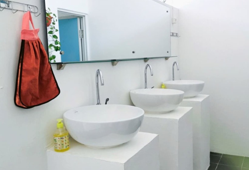 이코노미 룸, Snooze Ijen