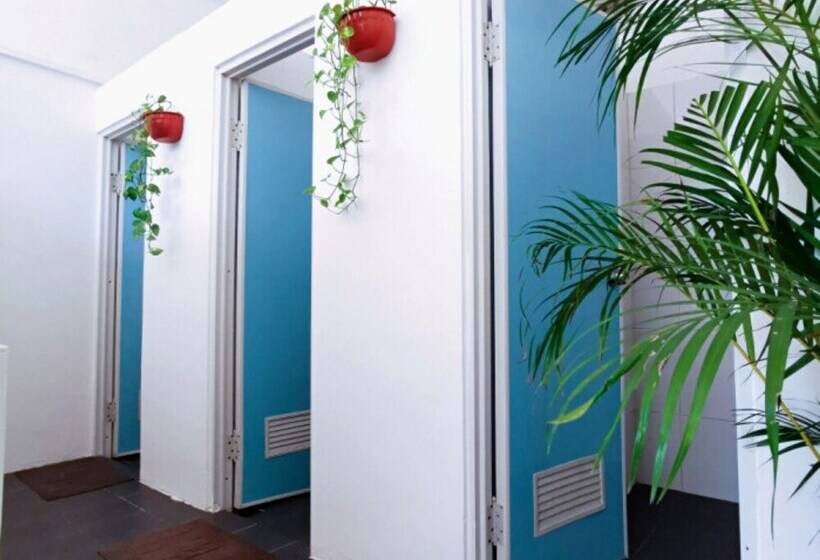 이코노미 룸, Snooze Ijen