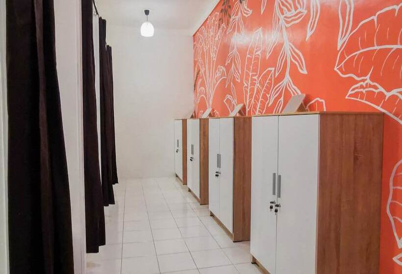 이코노미 룸, Snooze Ijen