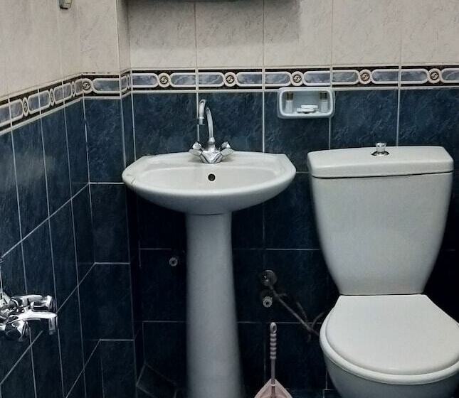 غرفة قياسية فردية, Otel çinar