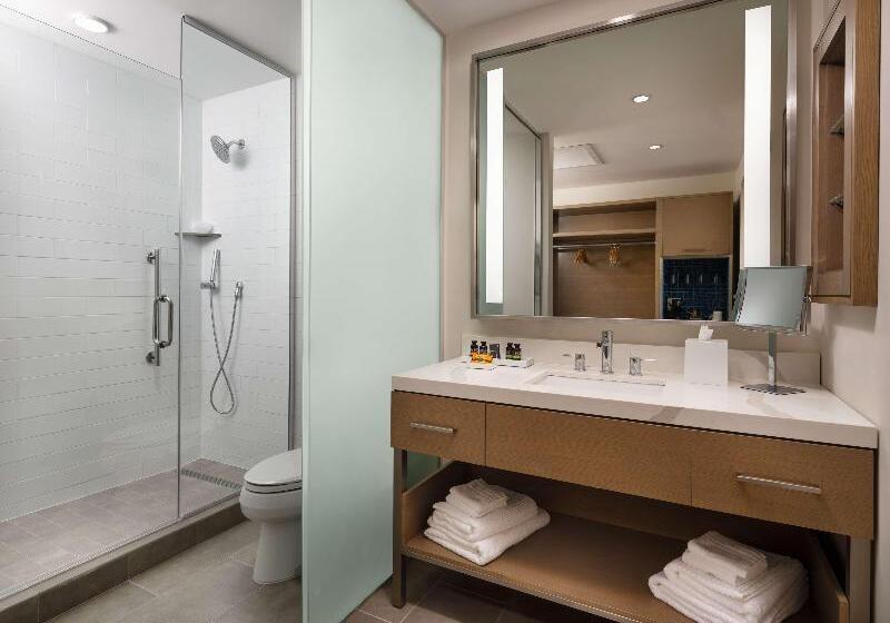 Стандартный Номер Кровать Кинг, Canopy By Hilton Dallas Frisco Station, Tx