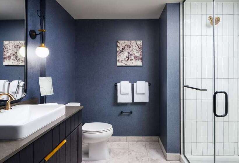 Стандартный Номер Кровать Кинг, Canopy By Hilton Dallas Frisco Station, Tx