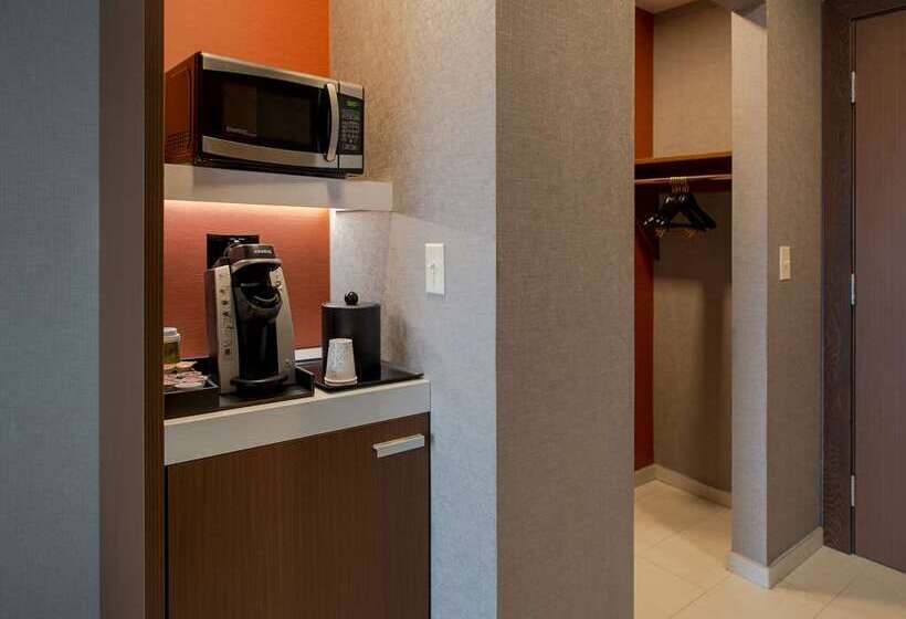 Номер Премиум, Canopy By Hilton Dallas Frisco Station, Tx