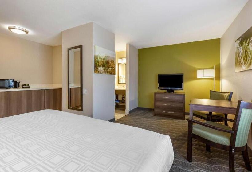 חדר סטנדרט עם מיטת קינג, Best Western North Phoenix