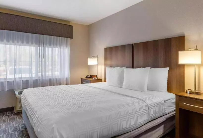 اتاق استاندارد با تخت بزرگ, Best Western North Phoenix
