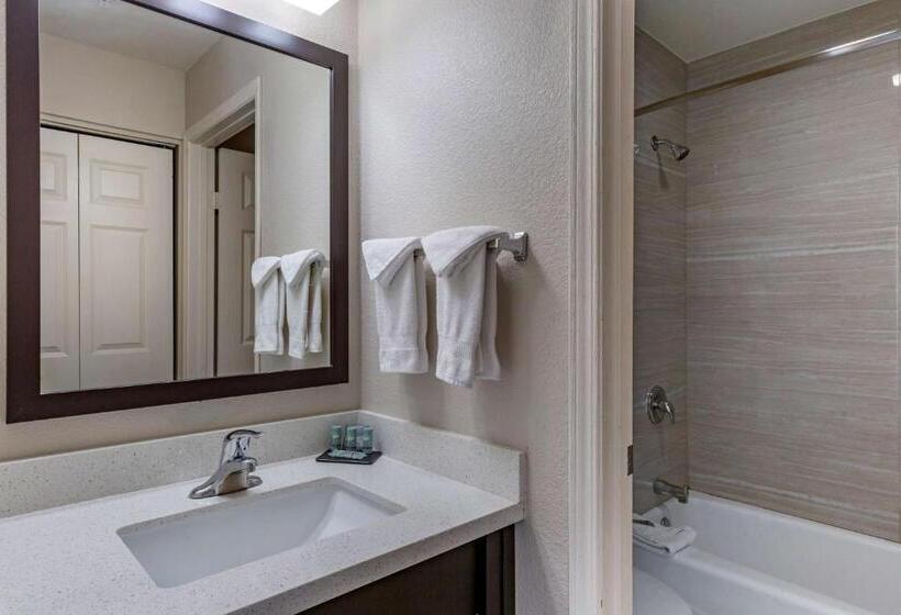 اتاق استاندارد با تخت بزرگ, Best Western North Phoenix