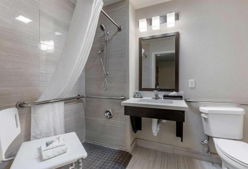 اتاق استاندارد با تخت بزرگ برای معلولان, Best Western North Phoenix