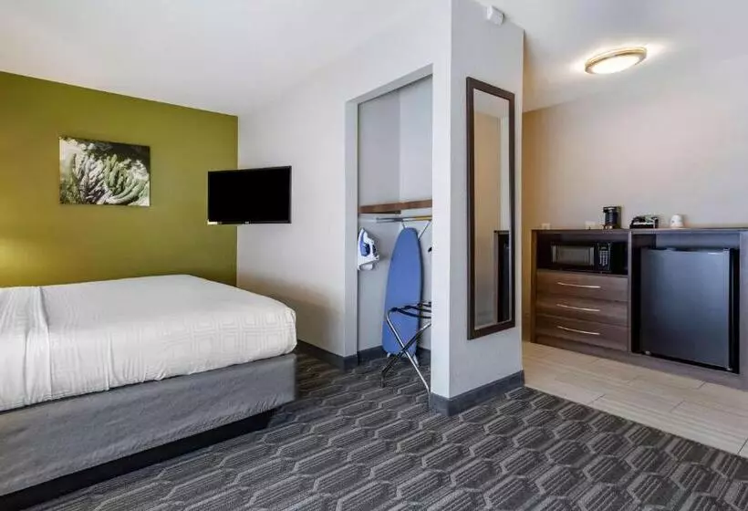 اتاق استاندارد با تخت بزرگ برای معلولان, Best Western North Phoenix
