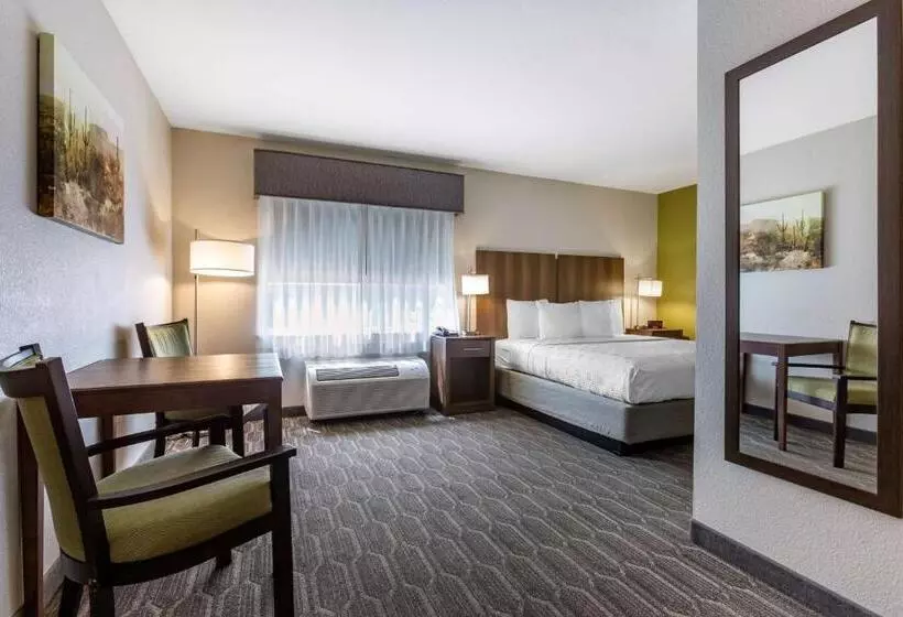 اتاق استاندارد با تخت بزرگ برای معلولان, Best Western North Phoenix
