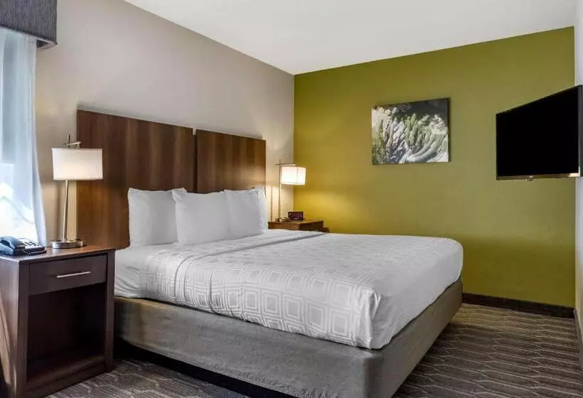 اتاق استاندارد با تخت بزرگ برای معلولان, Best Western North Phoenix