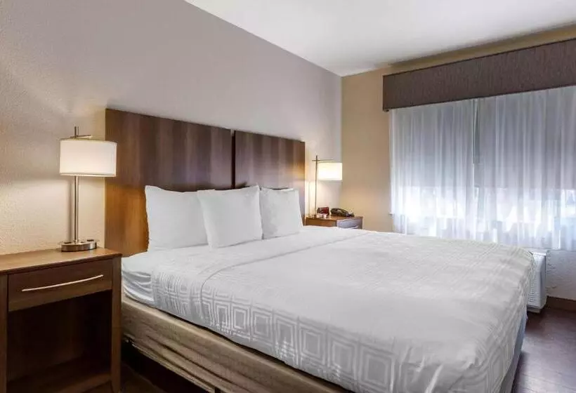 اتاق استاندارد با آشپزخانه, Best Western North Phoenix