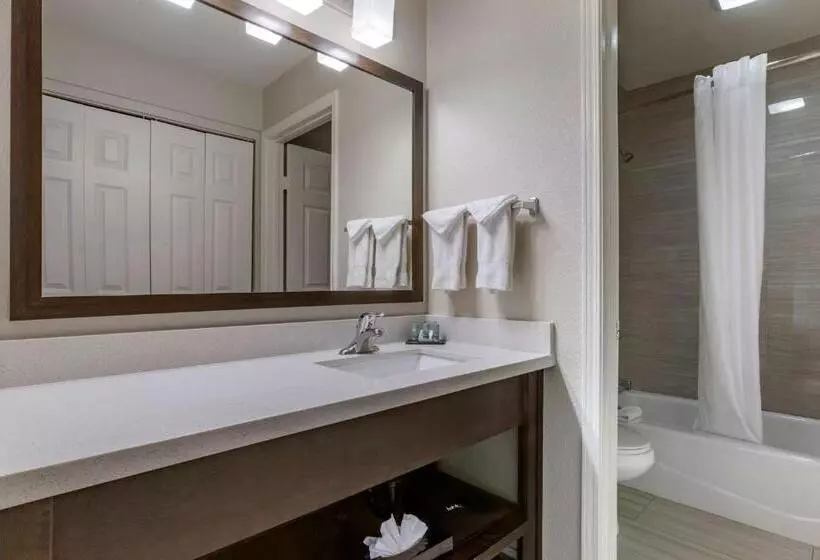 اتاق استاندارد با آشپزخانه, Best Western North Phoenix