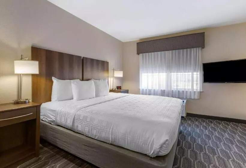 اتاق استاندارد با آشپزخانه, Best Western North Phoenix