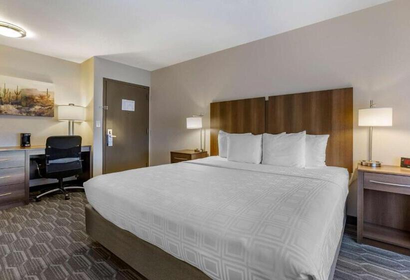 اتاق استاندارد با آشپزخانه, Best Western North Phoenix