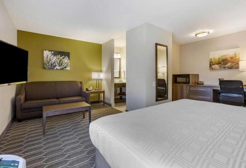 اتاق استاندارد با تخت بزرگ, Best Western North Phoenix