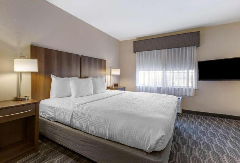 חדר סטנדרט עם מיטת קינג, Best Western North Phoenix