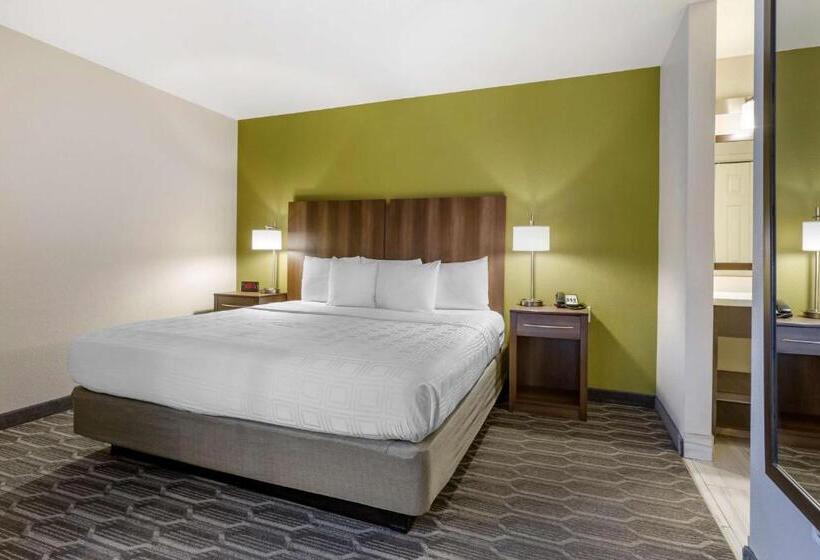 חדר סטנדרט עם מיטת קינג, Best Western North Phoenix