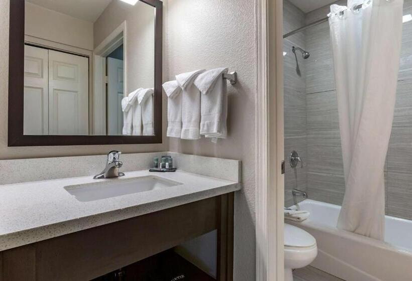اتاق استاندارد با تخت بزرگ, Best Western North Phoenix