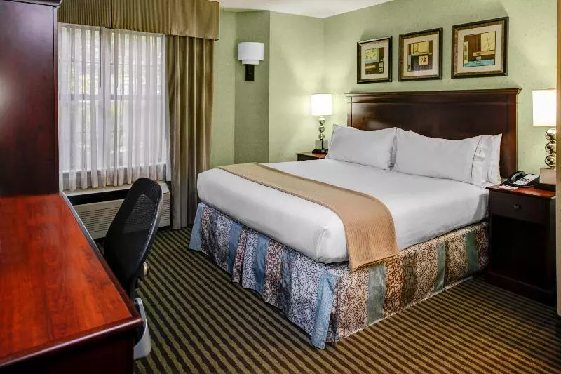 اتاق استاندارد با تخت بزرگ, Holiday Inn Express Hotel & Suites Atlanta Buckhead, An Ihg
