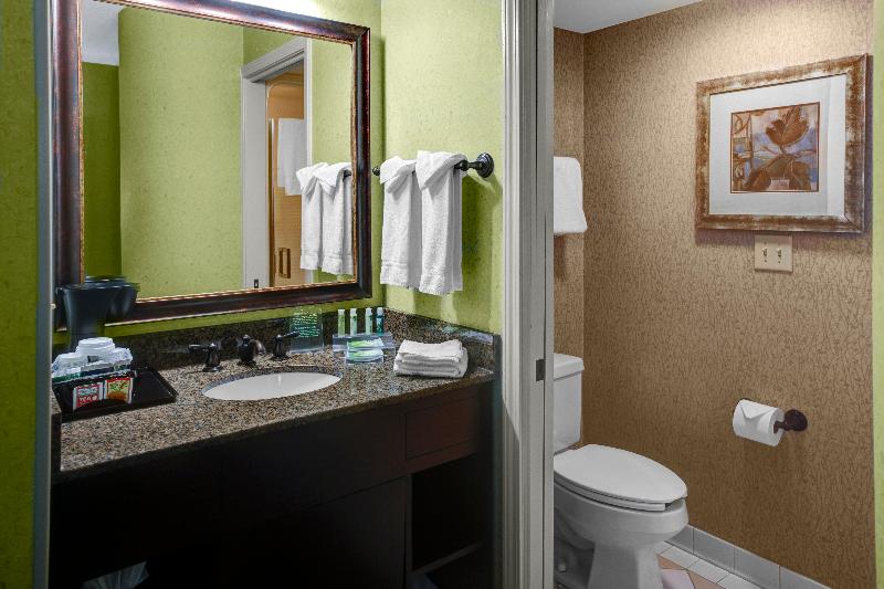 Quarto Estandar Cama King, Holiday Inn Express Hotel & Suites Atlanta Buckhead, An Ihg