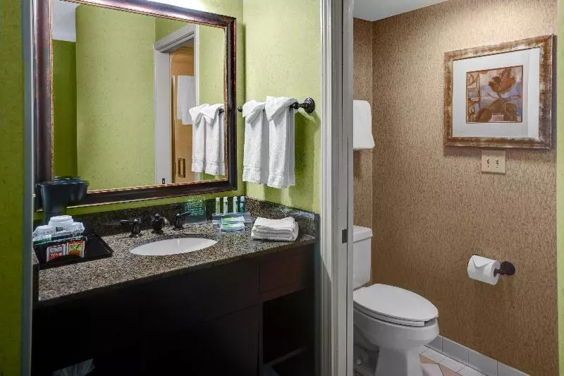 اتاق استاندارد با تخت بزرگ, Holiday Inn Express Hotel & Suites Atlanta Buckhead, An Ihg