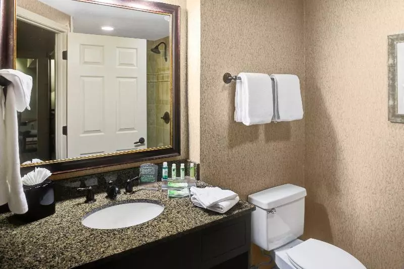 سوییت اجرایی, Holiday Inn Express Hotel & Suites Atlanta Buckhead, An Ihg