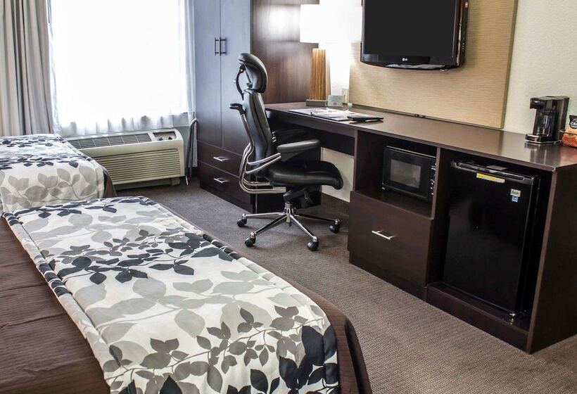 Habitació Estàndard 2 Llits Matrimoni, Sleep Inn Arlington Near Six Flags