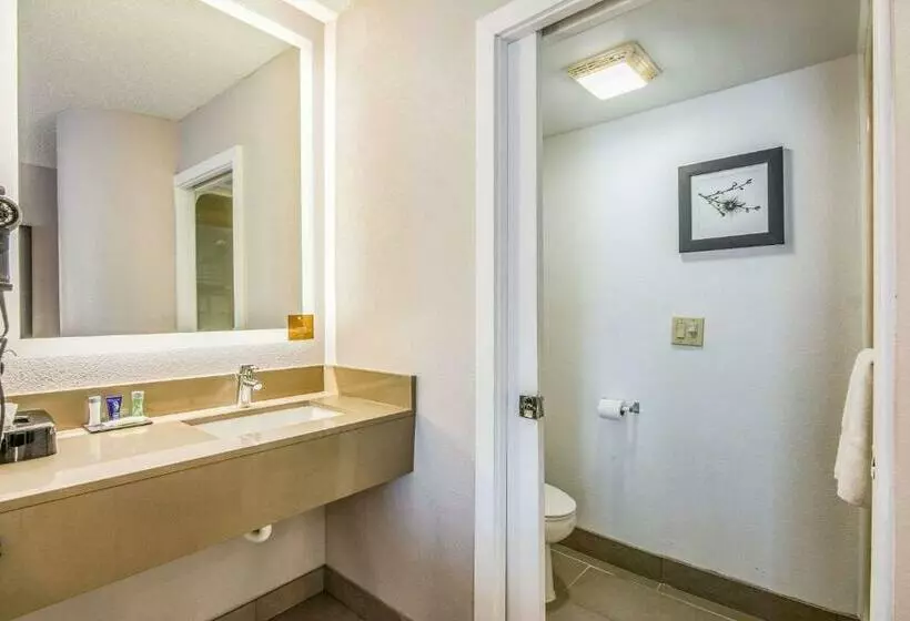 Standard-huone King-vuode, Sleep Inn Fort Mill Near Carowinds Blvd