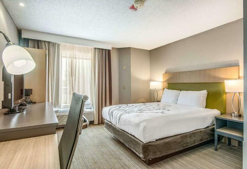 غرفة قياسية سرير كينج, Sleep Inn Fort Mill Near Carowinds Blvd