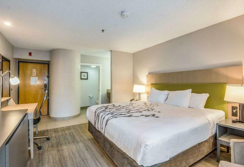 غرفة قياسية سرير كينج, Sleep Inn Fort Mill Near Carowinds Blvd