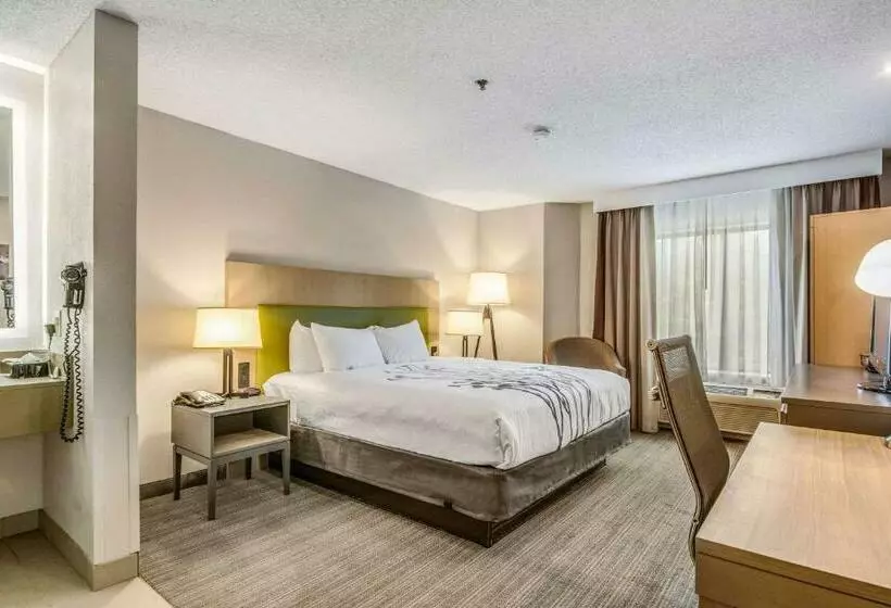 Standard-huone King-vuode, Sleep Inn Fort Mill Near Carowinds Blvd