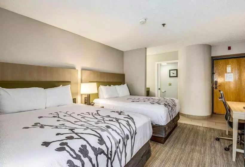Standard-huone, Sleep Inn Fort Mill Near Carowinds Blvd