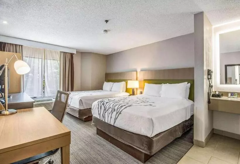 Standard-huone, Sleep Inn Fort Mill Near Carowinds Blvd