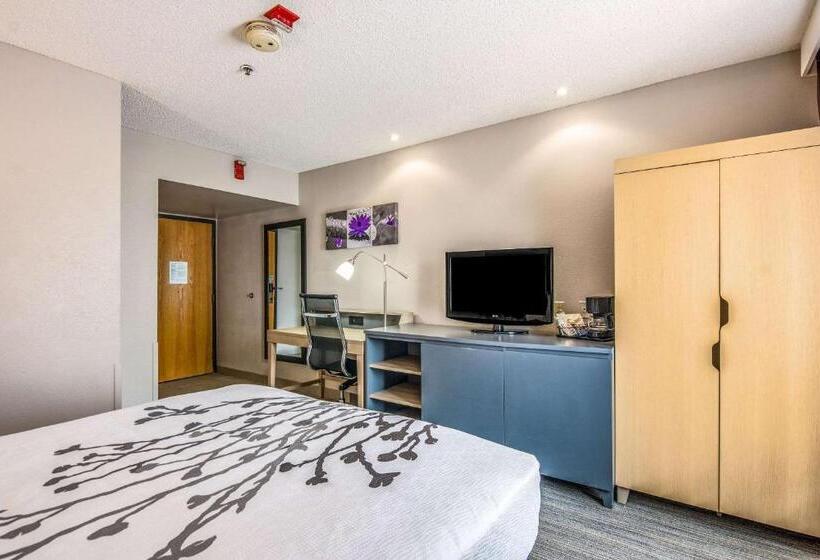 غرفة قياسية لذوى الاحتياجات الخاصة, Sleep Inn Fort Mill Near Carowinds Blvd