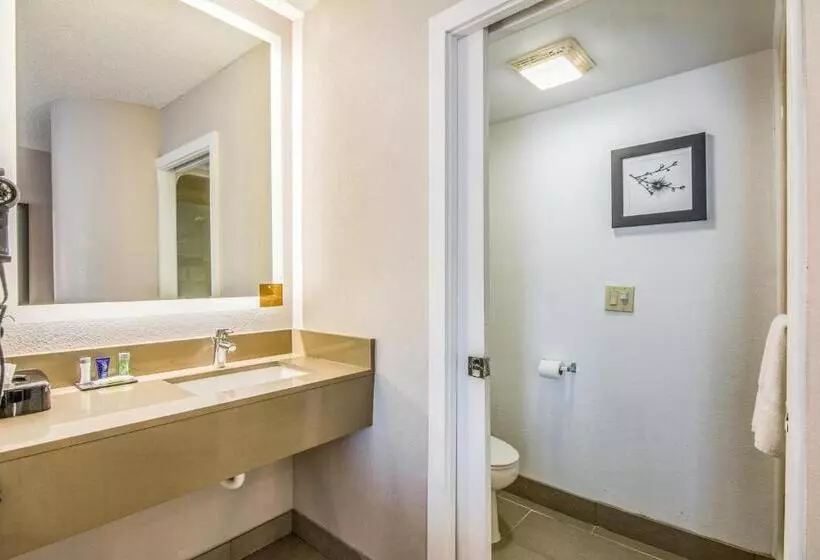 Deluxe-studio, Sleep Inn Fort Mill Near Carowinds Blvd