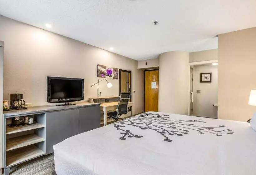 Deluxe-studio, Sleep Inn Fort Mill Near Carowinds Blvd