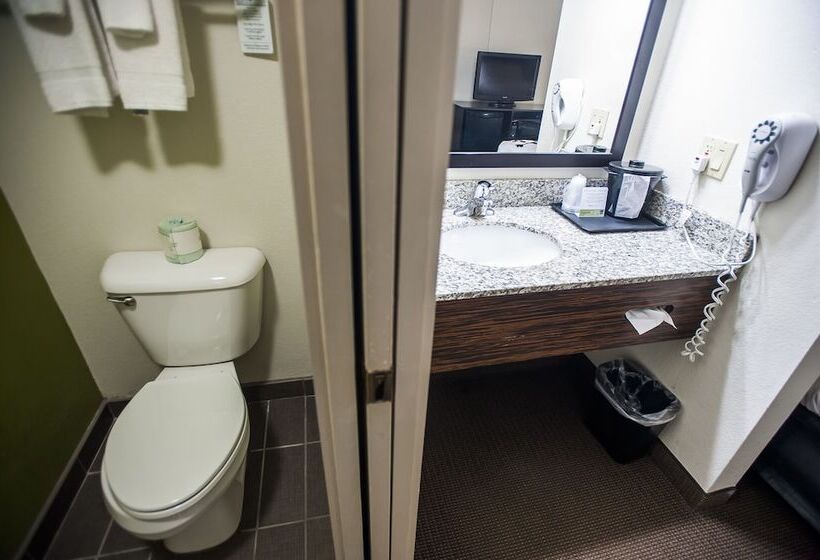 带2个双人床的标准工作室, Sleep Inn