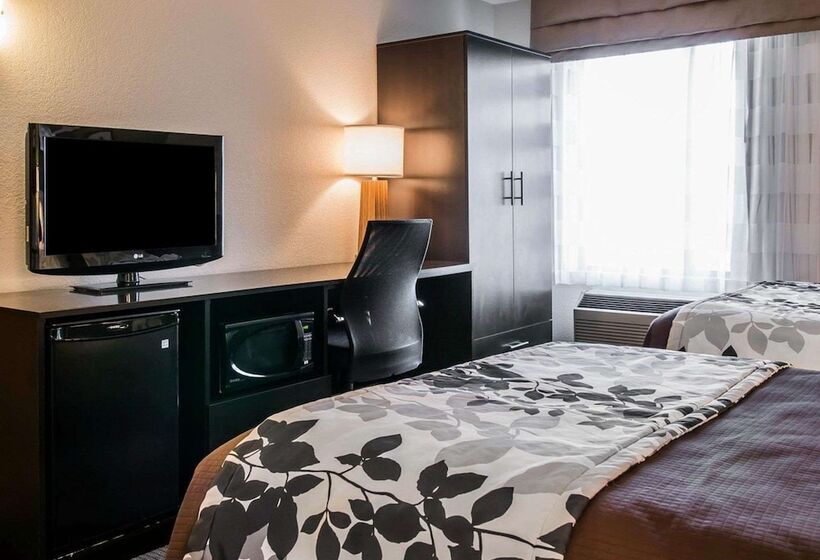 带2个双人床的标准工作室, Sleep Inn