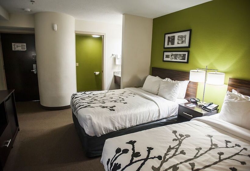 带2个双人床的标准工作室, Sleep Inn