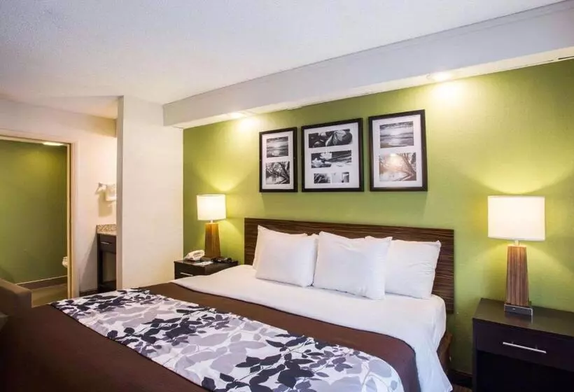 اتاق استاندارد با تخت بزرگ, Sleep Inn Nashville North   Downtown Area