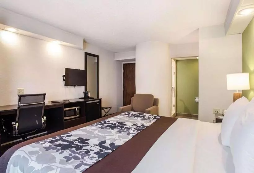 اتاق استاندارد با تخت بزرگ, Sleep Inn Nashville North   Downtown Area
