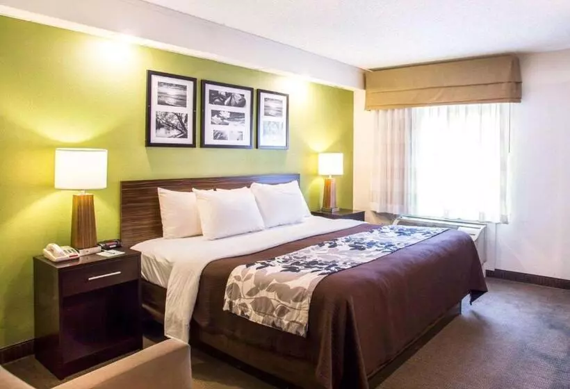 اتاق استاندارد با تخت بزرگ, Sleep Inn Nashville North   Downtown Area