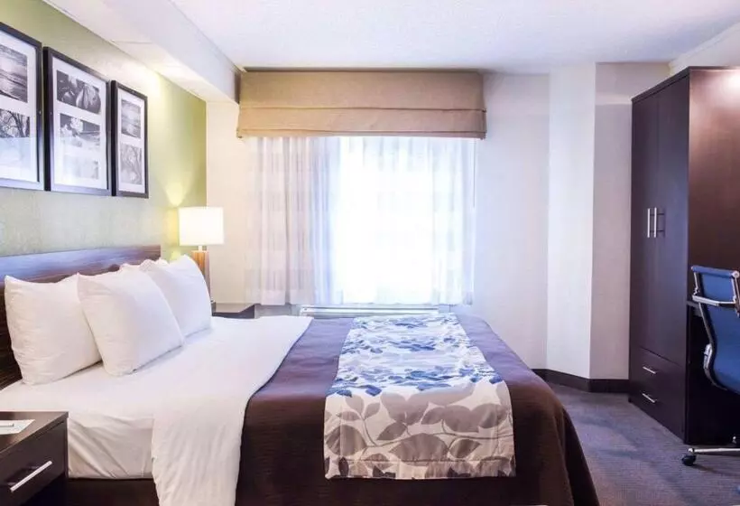 اتاق استاندارد برای معلولان, Sleep Inn Nashville North   Downtown Area