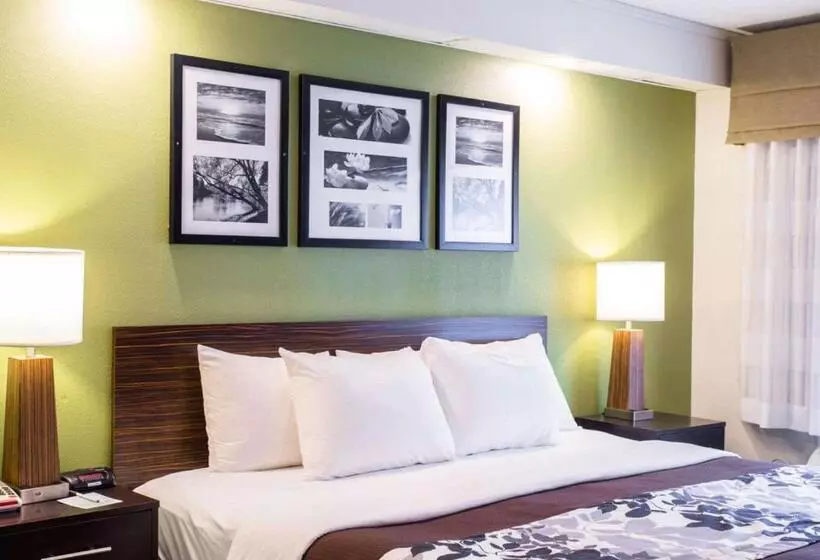 اتاق استاندارد برای معلولان, Sleep Inn Nashville North   Downtown Area
