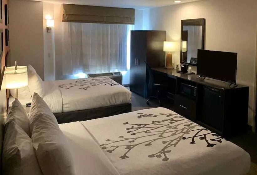 ２ダブルベッドのスタンダードルーム, Sleep Inn Phoenix North I17