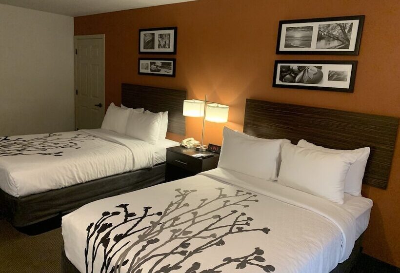 اتاق استاندارد با 2 تخت دوبل, Sleep Inn Phoenix North I17