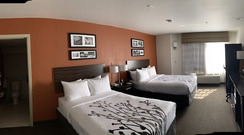 חדר סטנדרט שתי מיטות זוגיות, Sleep Inn Phoenix North I17