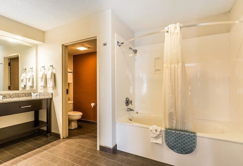 חדר סטנדרט שתי מיטות זוגיות, Sleep Inn Springfield South I60 Near Medical District